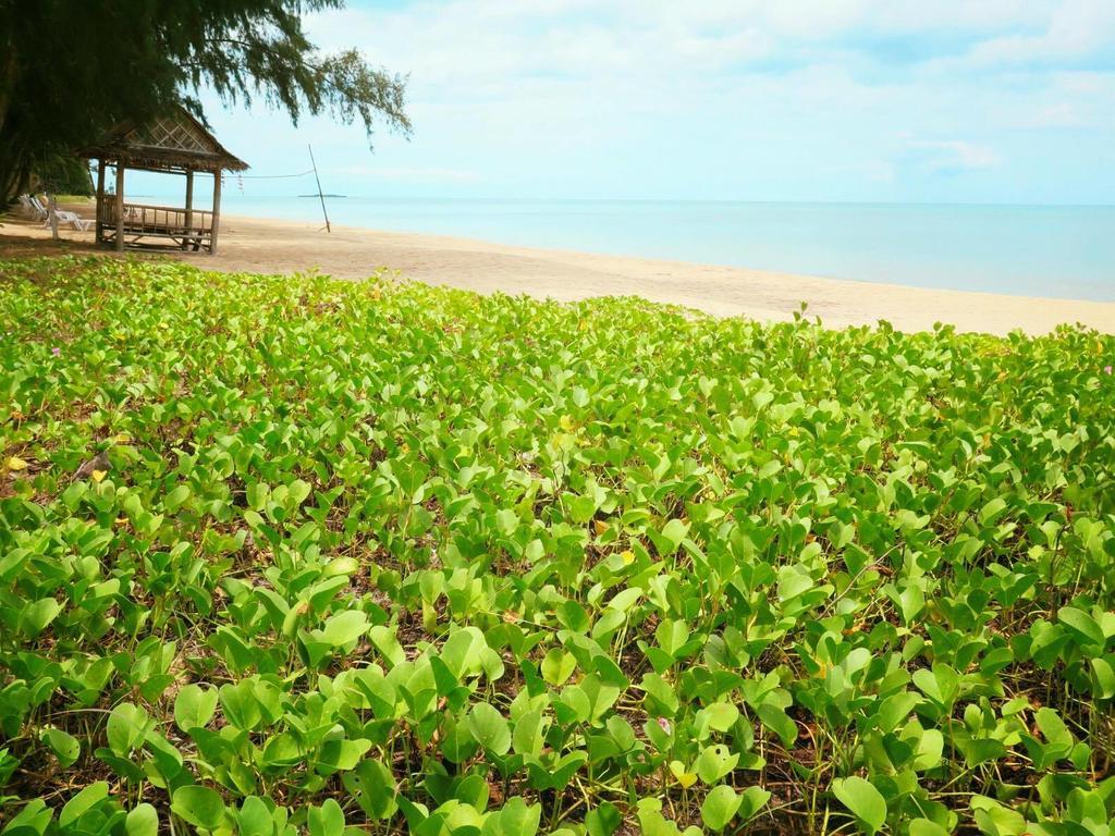 Bayview Beach Resort Ban Krut  Exterior foto
